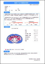 CT内脂検査結果