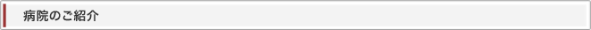 病院紹介見出し