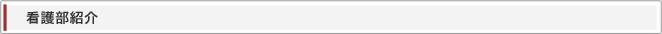 看護部紹介見出し